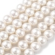 Cuentas perlas de concha de perla X-BSHE-L026-03-8mm-2