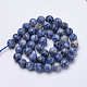 Natural Brazil Sodalite Beads Strands G-S281-10-10mm-2
