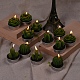 Kaktus Paraffin rauchfreie Kerzen DIY-G024-C-5