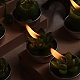 Kaktus Paraffin rauchfreie Kerzen DIY-G024-E-7