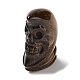 Figurines de crâne de guérison sculptées en œil de tigre naturel G-H288-04-02-2