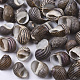 Natural Conch Shell Beads SSHEL-S258-89-1