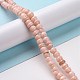 Natural Cultured Freshwater Shell Beads Strands SHEL-F002-01-3