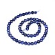 Natural Sodalite Beads Strands G-I249-A18-2