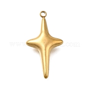 Подвески из нержавеющей стали 304 STAS-C119-22G