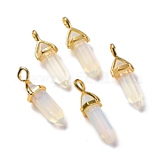 Opalite подвески G-K329-21G