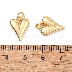 Ciondoli in ottone Shegrace&nbsp;XGRQ2C854-398G