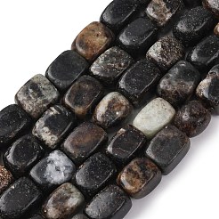 Природного биотита нитей бисера&nbsp;G-D098-D15