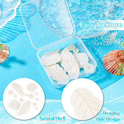 14шт 7 стиля подвески из натуральных пресноводных ракушек SHEL-TA0001-24