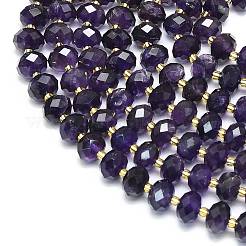 Природный аметист нитей бисера G-P573-A01-01