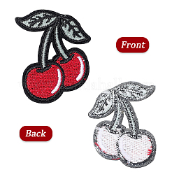 30 шт. Компьютеризированная вышивка ткань утюгом / пришить патчи&nbsp;PATC-CY0001-23