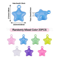 20 Stück undurchsichtige Acryl-Anhänger&nbsp;MACR-TADJ0001-04