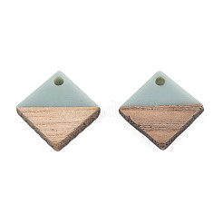 Pendentifs en résine & en bois&nbsp;RESI-S358-31F