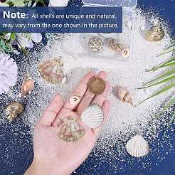 20 шт. 10 стиля гальванизированных подвесок из смешанных ракушек&nbsp;SHEL-SC0001-54