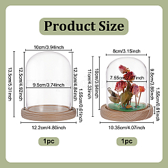 2 шт. 2-х стилистическая стеклянная крышка-купол&nbsp;AJEW-NB0007-93