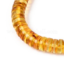 Браслеты из натурального янтаря с эластичными бусинами для мужчин и женщин&nbsp;BJEW-T018-19