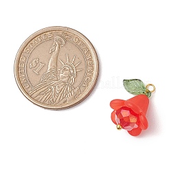 6 шт. подвески из акрила и стекла PALLOY-TA00192