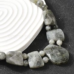 Натуральный лабрадорит ограненный нагрудник градуированные бусины ожерелья для женщин NJEW-B128-01P