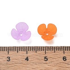 Embouts de perles acryliques dépolis&nbsp;AC-CBA81FF-09