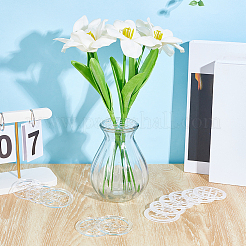 12шт 2 стиля акриловая банка для разведения топовых находок&nbsp;FIND-NB0006-59