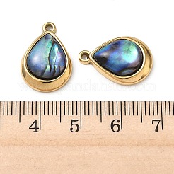 Natur Paua Muschel Anhänger&nbsp;STAS-G397-22G-02