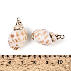 Colgantes de concha marina natural galvanizada&nbsp;SSHEL-T018-08