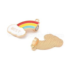 Сплав разноцветные эмалевые разделенные подвески&nbsp;PALLOY-V006-05G