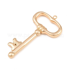 Colgantes de acero inoxidable 304&nbsp;SA-CBA7A79-03KCG