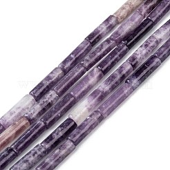 Natürliche Lepidolith / lila Glimmer Steinperlen Stränge&nbsp;LS-G-F247-45
