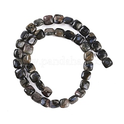 Бусины из натурального глаукофана G-C141-F01-01