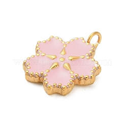 Подвески из нержавеющей стали 304 с эмалью&nbsp;STAS-F331-01C-G