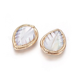 Perle di guscio&nbsp;BSHE-G020-05G-A