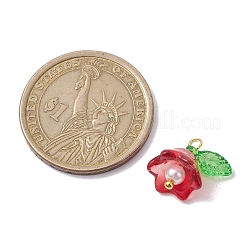 Подвески из разноцветного стекла PALLOY-JF02567-02