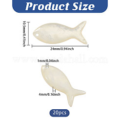 20pcs natürliche Muschelanhänger&nbsp;SHEL-CO0001-01