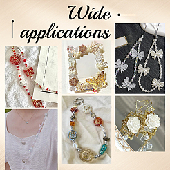 Прозрачные акриловые бусины OACR-PH0004-32A