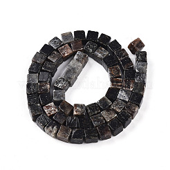 Природного биотита нитей бисера G-T140-39A