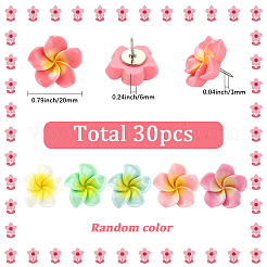 30 шт. булавки-кабошоны из смолы плюмерия&nbsp;AJEW-SC0031-18