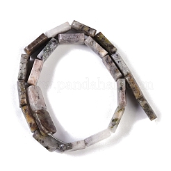 天然石瑪瑙ビーズ連売り  長方形  13x18x6mm  穴：0.8mm  約22個/連  15.75''（40センチメートル）&nbsp;G-M420-M07-02