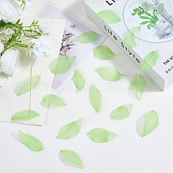 100 pièce de fournitures d'artisanat en feuilles de fleurs séchées&nbsp;AJEW-CP0009-41A