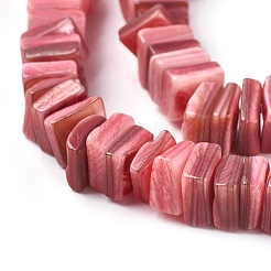 Нити бусин из пресноводных ракушек BSHE-O017-10