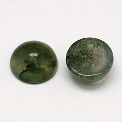 Natur Moos Achat Cabochons&nbsp;G-P393-R28-12mm