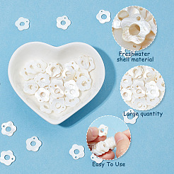 50 шт. подвески в виде пресноводных ракушек&nbsp;FIND-AR0002-55