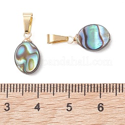 Abalone Muschel / Paua Muschel Anhänger&nbsp;PALLOY-JF05265