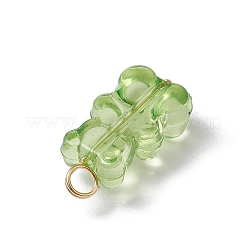 16шт прозрачные акриловые подвески PALLOY-JF03542