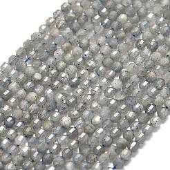 Природные лабрадорита бисер нитей G-A260-A44-01A