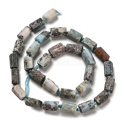 Природные ларимар бисер нитей G-K245-I20-01