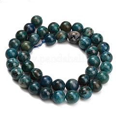 Natur Chrysokoll Perlen Stränge&nbsp;G-G475-A03-10mm