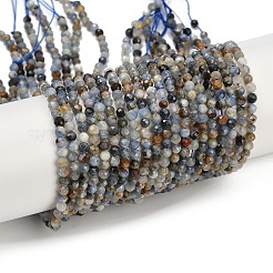 Natürliche kyanite Perlen Stränge&nbsp;LS-G-M092-D03-01A