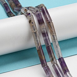 Perline fluorite naturale fili&nbsp;G-G006-A05-01
