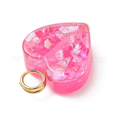 Прозрачные смоляные подвески&nbsp;PALLOY-JF04450-02